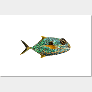 Lizard Fish Posters and Art